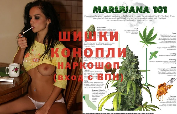 MESCALINE Осинники