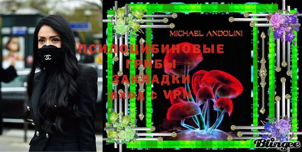 спиды Няндома