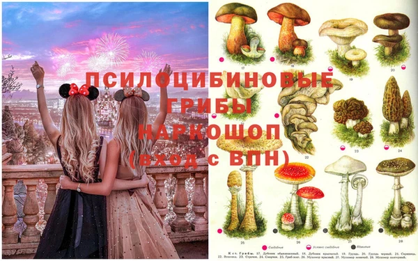ALPHA PVP Осташков