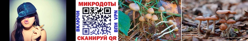где продают   Сыктывкар  Псилоцибиновые грибы Magic Shrooms 