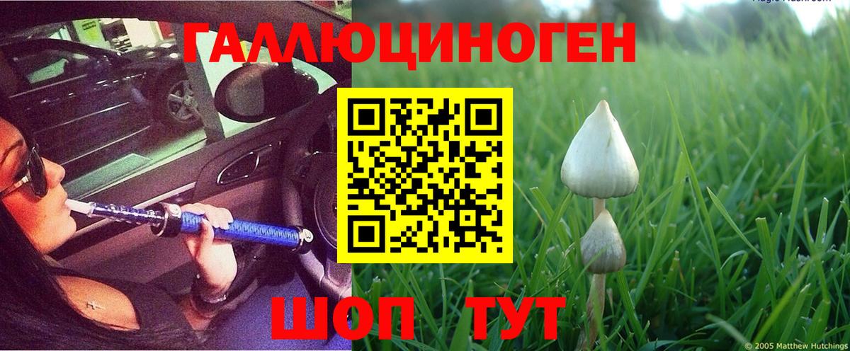 Галлюциногенные грибы Psilocybe  продажа наркотиков  Сыктывкар  Вход с VPN 
